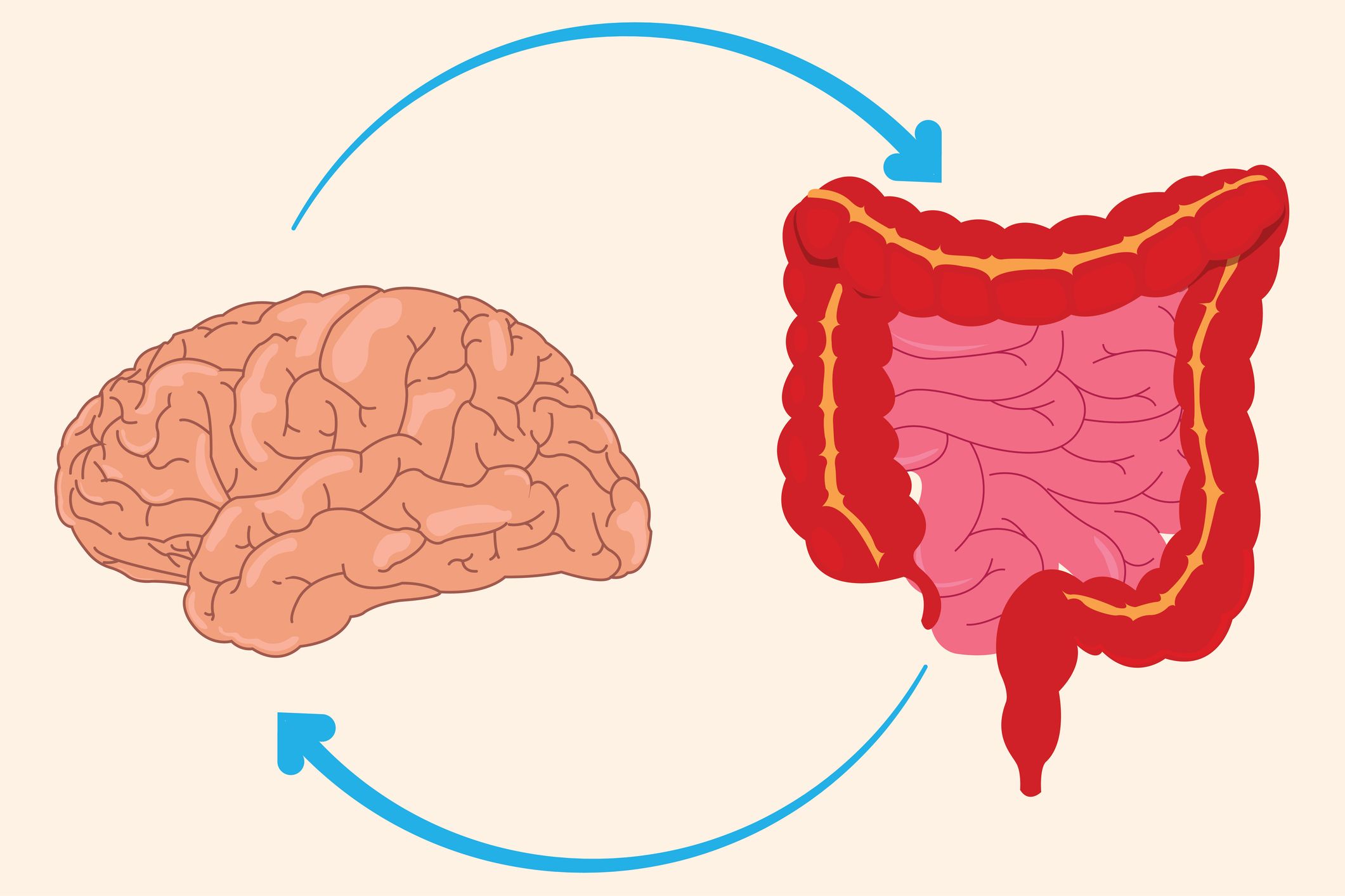 Gut Brain Health Stanford Report.jpg
